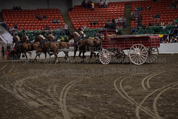 2019BigE_09292019_SCL_0173
