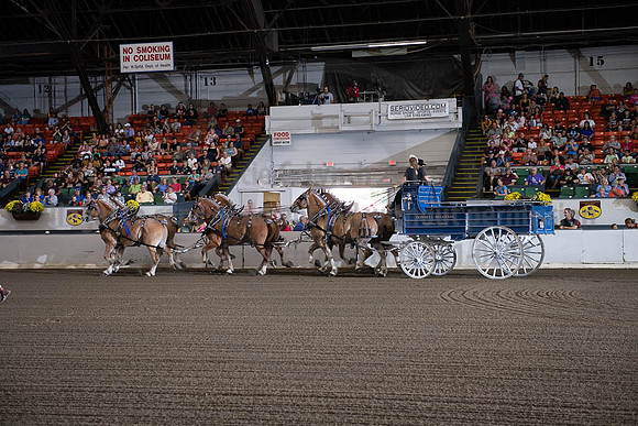 2019BigE_09292019_SCL_9782