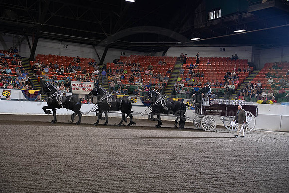 2019BigE_09292019_SCL_9783