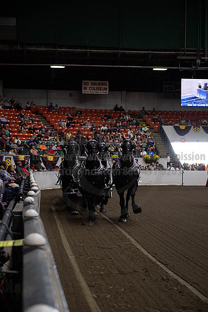 2019BigE_09292019_SCL_9788