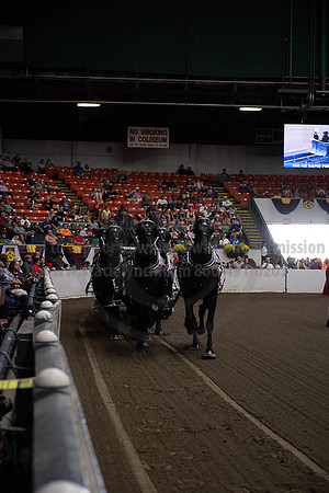 2019BigE_09292019_SCL_9789