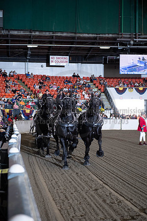 2019BigE_09292019_SCL_9790