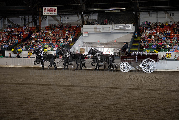 2019BigE_09292019_SCL_9792