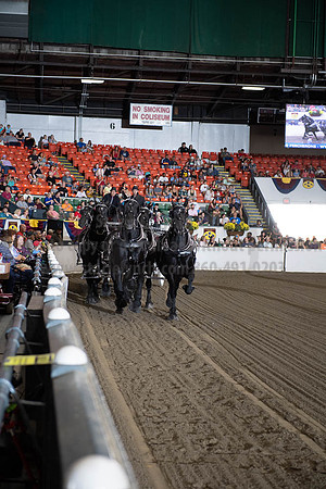 2019BigE_09292019_SCL_9793