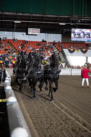 2019BigE_09292019_SCL_9795