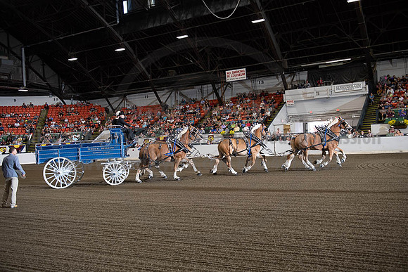 2019BigE_09292019_SCL_9798