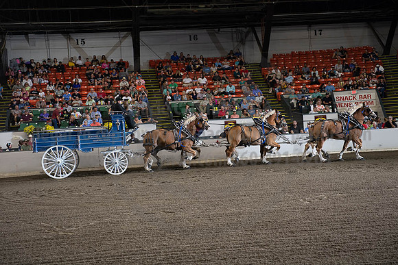 2019BigE_09292019_SCL_9811