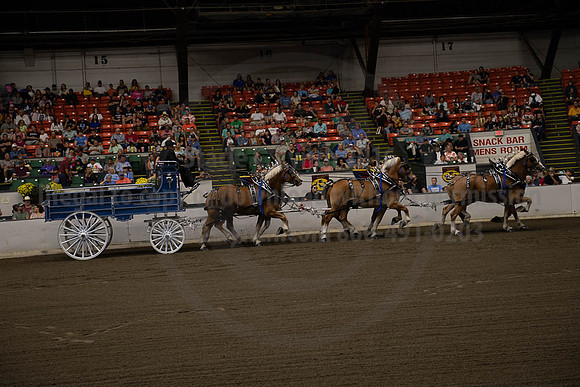 2019BigE_09292019_SCL_9812