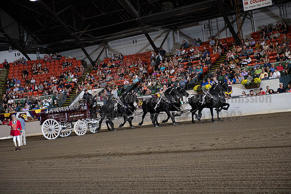 2019BigE_09292019_SCL_9813