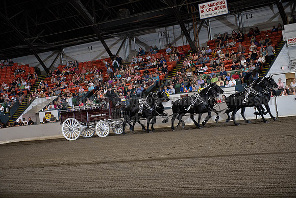 2019BigE_09292019_SCL_9815