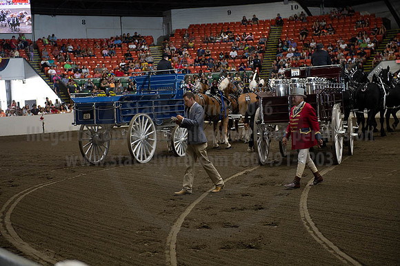 2019BigE_09292019_SCL_9816