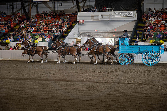 2019BigE_09292019_SCL_9827
