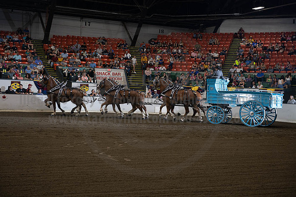 2019BigE_09292019_SCL_9830