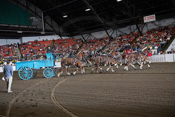 2019BigE_09292019_SCL_9831