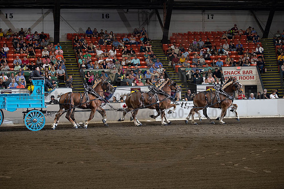 2019BigE_09292019_SCL_9833