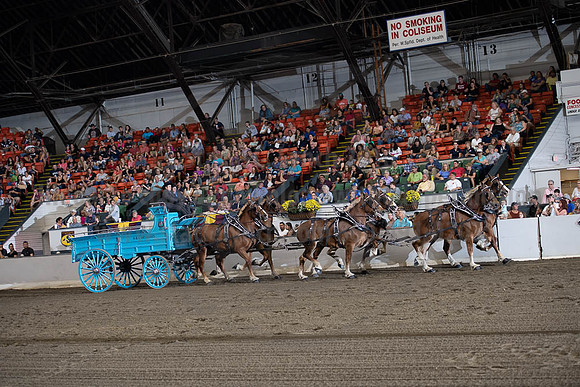 2019BigE_09292019_SCL_9836