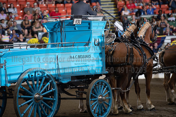 2019BigE_09292019_SCL_9838