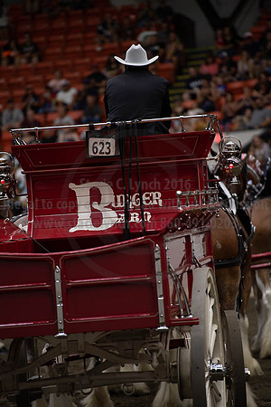 2019BigE_09292019_SCL_9840