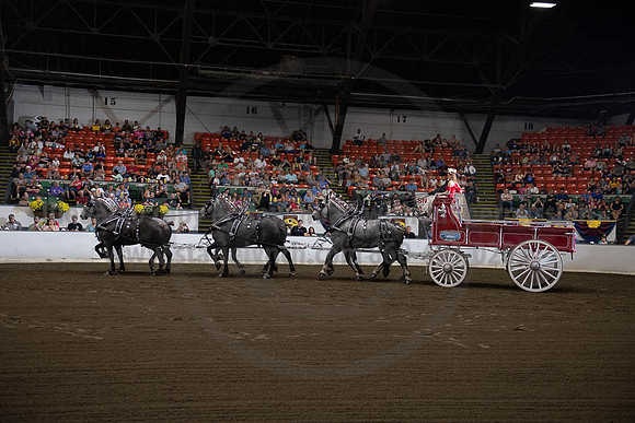 2019BigE_09292019_SCL_9847