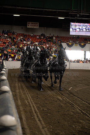 2019BigE_09292019_SCL_9859