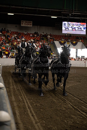 2019BigE_09292019_SCL_9861