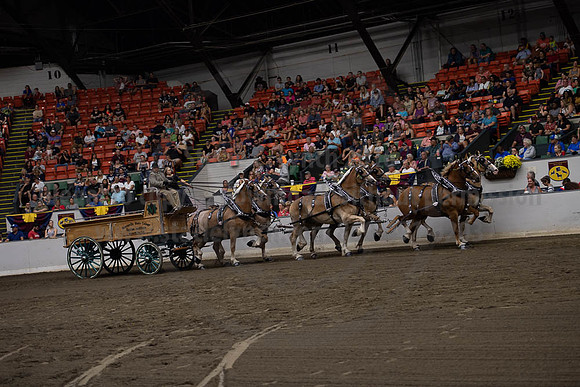 2019BigE_09292019_SCL_9864