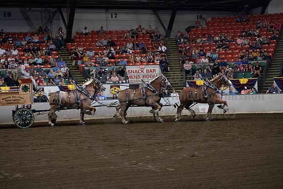 2019BigE_09292019_SCL_9865