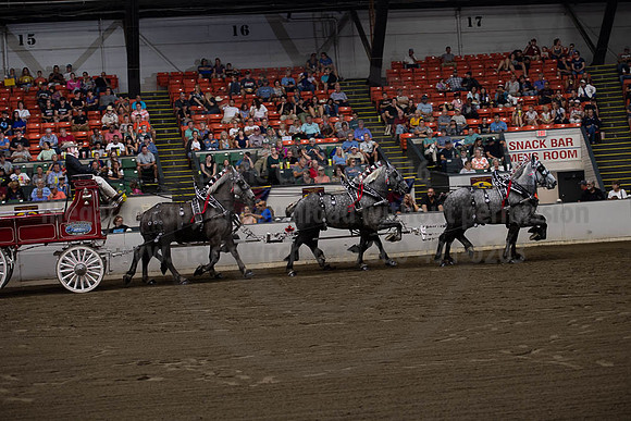 2019BigE_09292019_SCL_9867
