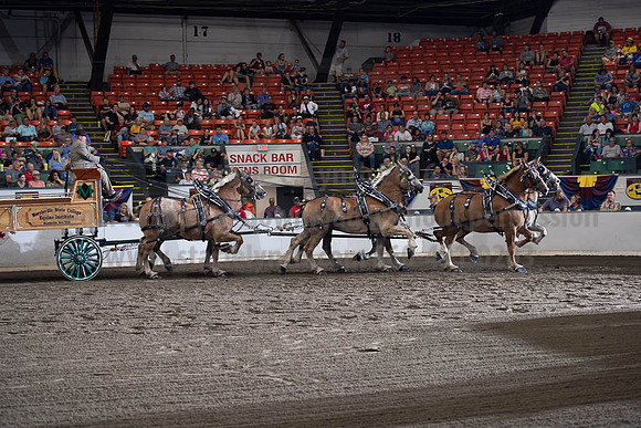 2019BigE_09292019_SCL_9869