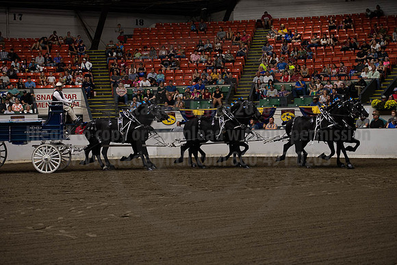 2019BigE_09292019_SCL_9871