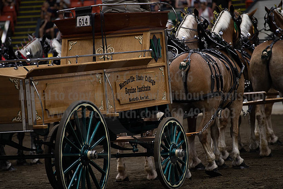 2019BigE_09292019_SCL_9874