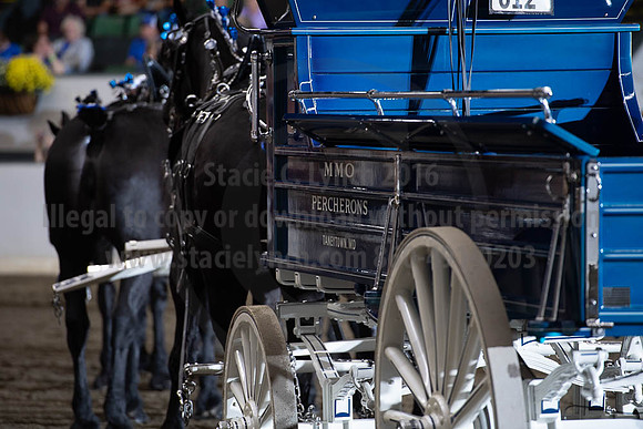 2019BigE_09292019_SCL_9876