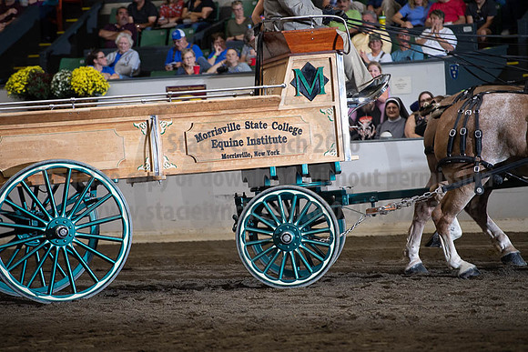 2019BigE_09292019_SCL_9885