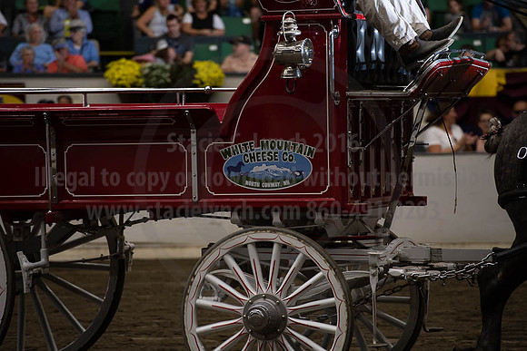 2019BigE_09292019_SCL_9887