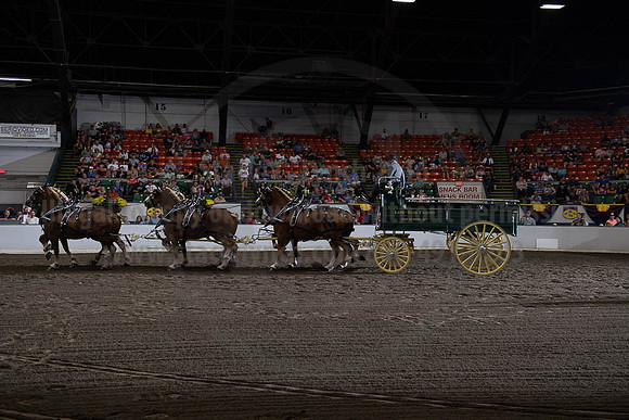 2019BigE_09292019_SCL_9888