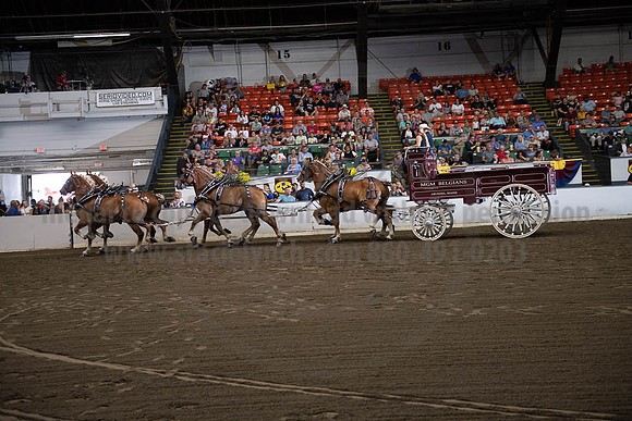 2019BigE_09292019_SCL_9891