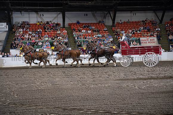 2019BigE_09292019_SCL_9892