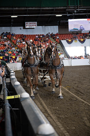 2019BigE_09292019_SCL_9893