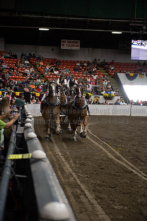 2019BigE_09292019_SCL_9895
