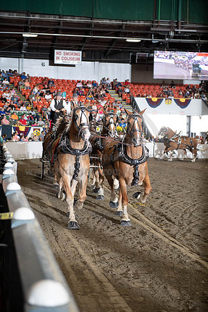 2019BigE_09292019_SCL_9896