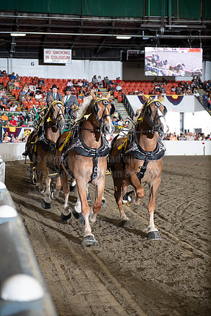 2019BigE_09292019_SCL_9900