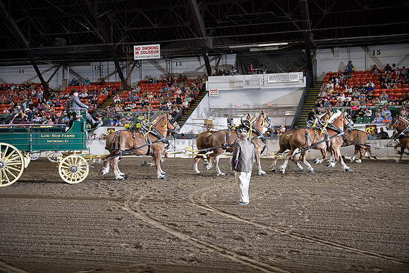 2019BigE_09292019_SCL_9903