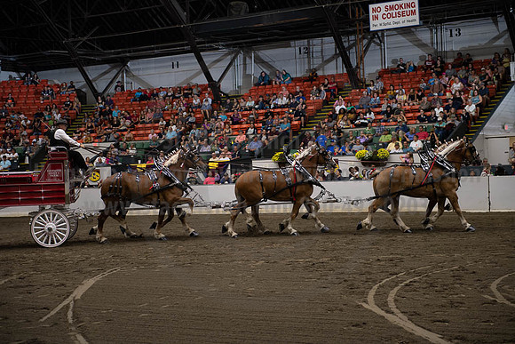 2019BigE_09292019_SCL_9905