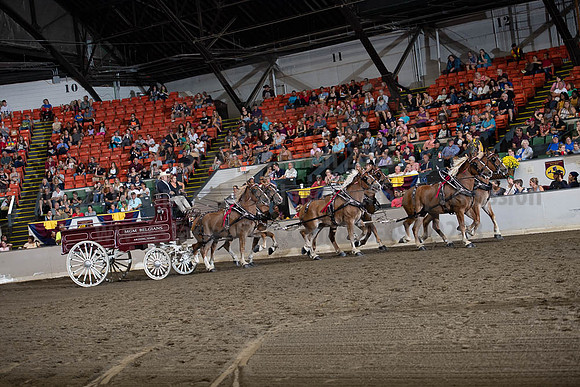 2019BigE_09292019_SCL_9907