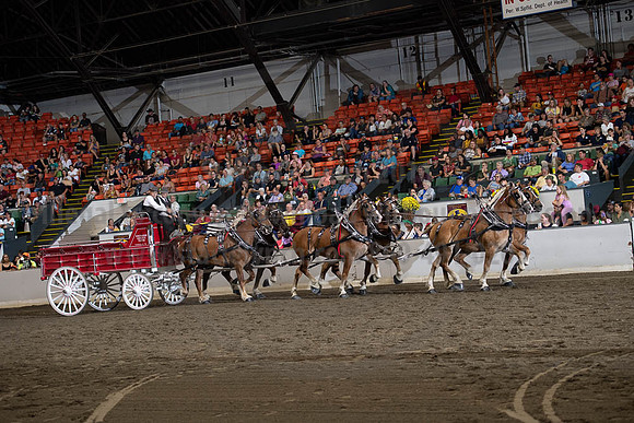 2019BigE_09292019_SCL_9911
