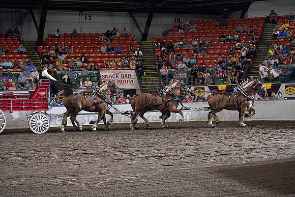 2019BigE_09292019_SCL_9916