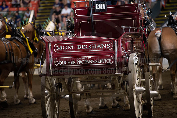 2019BigE_09292019_SCL_9917
