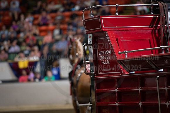 2019BigE_09292019_SCL_9919