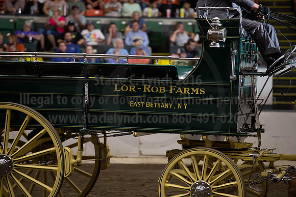 2019BigE_09292019_SCL_9925