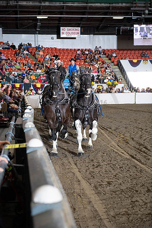 2019BigE_09292019_SCL_9933